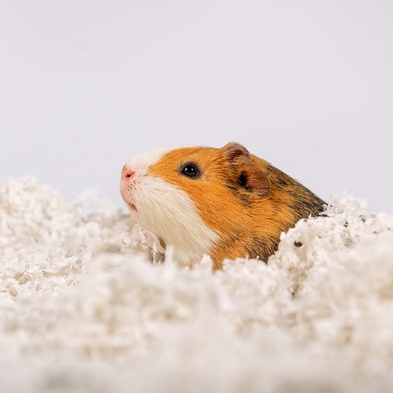 PETSPICK Uber Soft Paper Pet Bedding for Small Animals, White, 36L - Image 5